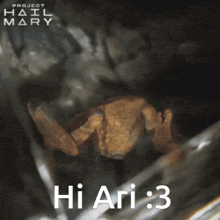 a picture of a frog with the words hi ari 3 on the bottom