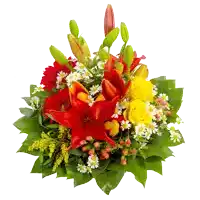 a bouquet of red and yellow flowers with green leaves on a white background