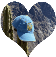 a blue hat with the letter r on it hangs from a cactus