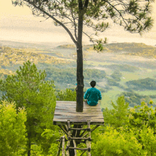 a person sitting on a wooden platform under a tree