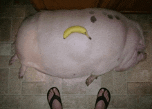 a person standing next to a pig with a banana on its back