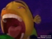 a close up of a fish 's mouth with its mouth open .