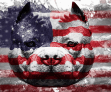 a painting of a dog with an american flag painted on its face