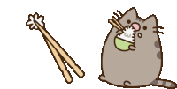 a cat is eating rice with chopsticks and another cat is holding a bowl of rice