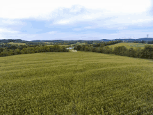 an aerial view of a lush green field with the word this visible