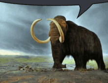 a mammoth with a speech bubble in the background