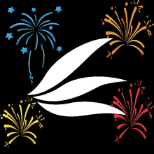 a drawing of fireworks with a white leaf in the middle