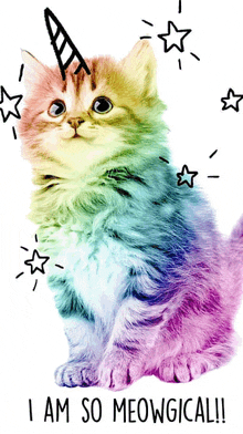 a rainbow kitten with a unicorn horn and the words " i am so meowgicali " below it