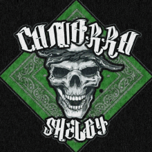 a green bandana with a skull on it that says chambra shelby