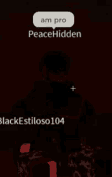 a screenshot of a video game that says peacehidden