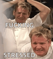 a man with his hands on his head and the words " fucking stressed " next to him