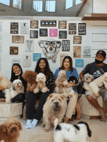 a group of people are posing with their dogs in front of a wall with signs that say dogs and love