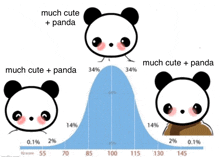 a graph showing the percentage of people who are much cute and panda