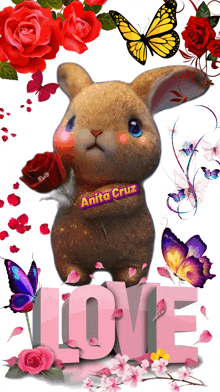 a stuffed animal with the name anita cruz on its chest