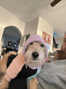 a man is holding a small dog wearing a purple hoodie