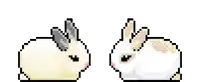 two rabbits are sitting next to each other with a heart in the middle .
