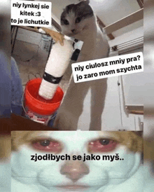 a cat is standing next to a red bucket and a picture of a cat with red eyes