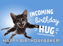 a birthday card with a cat and the words incoming birthday hug