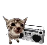 a cat standing next to a boombox with music notes coming out of it 's mouth