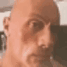 a close up of a bald man 's face with a beard looking at the camera .