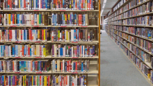 a library filled with lots of books including one that says ' i love you ' on the cover