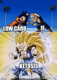 a cartoon of goku and trunks with the words low carb if ketosis