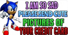 a picture of sonic the hedgehog with a caption that says i am so sad please send cute pictures of your credit card