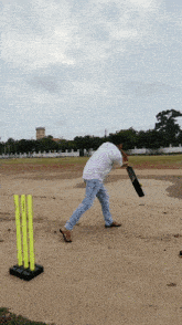 a man is swinging a bat at a cricket ball in a field with a cricket wicket that says triumph