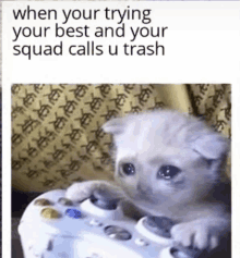 a kitten is playing a video game with the caption " when your trying your best and your squad calls u trash " .