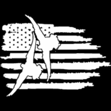 a black and white drawing of an american flag with a duck on it .