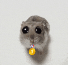 a hamster with a medal around its neck that says 1