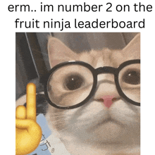 a cat wearing glasses and giving a peace sign with the words erm im number 2 on the fruit ninja leaderboard