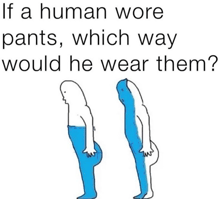 if a human wore pants , which way would he wear them ? a cartoon of two people standing next to each other