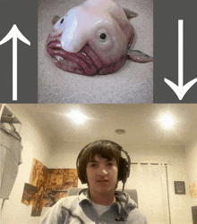 a picture of a fish and a picture of a man with headphones