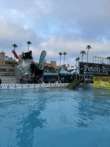 a dog jumping into a pool with a sign that says fetch-it