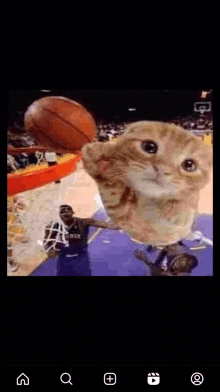 a cat is playing basketball on a court with a basketball player .