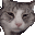 a close up of a cat 's face on a white background with a blurred background .