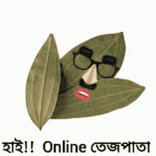 a picture of a leaf with a face on it and the words " online " below it