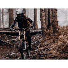 a person wearing a helmet with the letter f on it is riding a bike in the woods