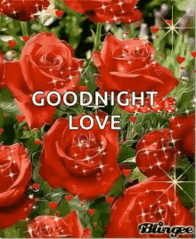 a bunch of red roses with the words `` goodnight love ''