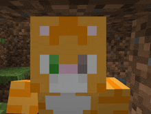 a close up of a cat 's face in a video game