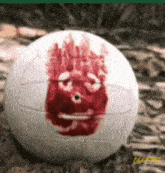 a white volleyball with a red face painted on it sits on the ground