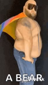 a fat man with a rainbow flag around his neck is wearing sunglasses and a cape .