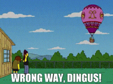 a cartoon of a hot air balloon with the words wrong way dingus written below it