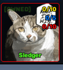 a picture of a cat with the name sledger written on it