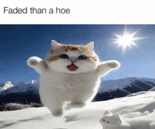 a cat with its tongue out is running in the snow with the words faded than a hoe below it