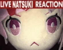 a close up of a stuffed animal with the words `` live natsuki reaction '' above it .