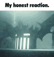 a picture of a dragon with the words " my honest reaction " below it