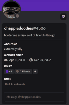 a screenshot of a person 's profile with the name chappiedoodles # 4506