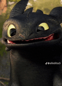 a toothless from how to train your dragon is smiling